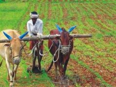 छत्तीसगढ़ के किसानों के लिए बड़ी राहत, फसल बीमा योजना में आवेदन की आखिरी तारीख 31 जुलाई