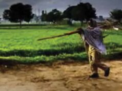 बारिश की कमी से बढ़ी किसानों की चिंता, CG में बोवनी और धान रोपाई प्रभावित