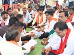 ग्राम बोटेसुर से नवागांव तक सड़क निर्माण, ग्राम पीरचाटोला में सड़क निर्माण की घोषणा