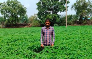मिट्टी की उर्वरता बढ़ाने और लागत घटाने की दिशा में बना प्रेरक उदाहरण