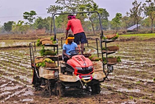 आधुनिक खेती बनी किसानों की ताकत, भरदाकला में तेज और गुणवत्तापूर्ण धान रोपाई