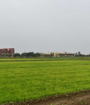 Kisan_01-4.jpg