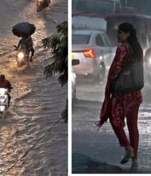 Mansoon_01.jpg