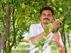 नाशपाती से चमकी किसान मनोज यादव की किस्मत