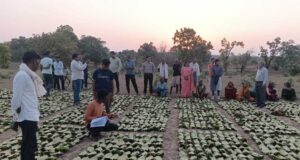 सुशासन का लाभ: तेन्दूपत्ता संग्राहकों को मिली आर्थिक मजबूती, करोड़ों की बोनस राशि हुई जारी