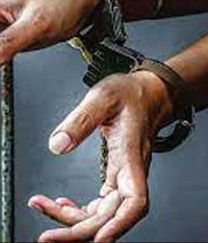 arresteda_132_2-1.jpg