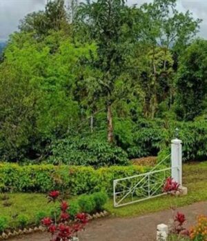 gARDEN_01.jpg