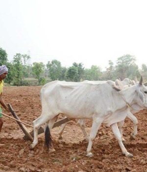 kISAN_01.jpg