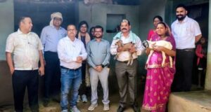 बिहान मिशन और जिला प्रशासन के प्रयासों से हजारों महिलाओं की आय में हुआ इजाफा
