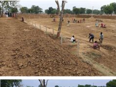 बारिश से लबालब हुए नवा तरिया और आजीविका डबरियां, जल संरक्षण अभियान को मिली रफ्तार
