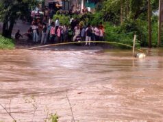 तेज बारिश से गिजरी नाले का पुल डूबा, वाहनों की लगी लंबी कतार, नया पुल बनाने की मांग