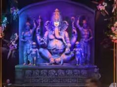 मंत्री तोमर की अपील- अस्थाई कनेक्शन लेकर ही करें झांकी और पंडाल की साज-सज्जा