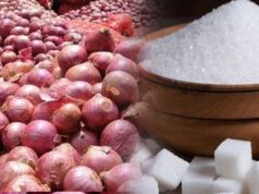 Onion Price Today: प्याज ने बिगाड़ा रसोई का बजट, कीमतों में तेज बढ़ोतरी से आम जनता परेशान