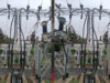 Indore Power Update: 60 वर्ष पुरानी बिजली समस्या खत्म, चंबल सब स्टेशन के 33 केवी फीडर किए गए अंडरग्राउंड