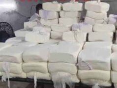 Bastar Food Safety Alert: नकली डेयरी उत्पाद बेचने वालों पर शिकंजा, सघन जांच अभियान शुरू