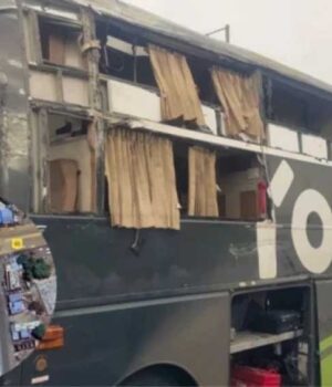 bus.jpg
