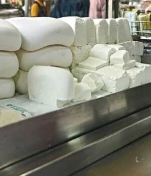 pANEER_01.jpg