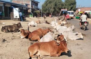 सुप्रीम कोर्ट कमेटी ऑन रोड सेफ्टी के अध्यक्ष न्यायमूर्ति सप्रे की अध्यक्षता में सम्पन्न हुई बैठक