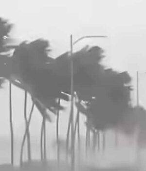 rain_2-2.jpg