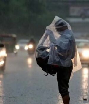 rain_81_4-2.jpg