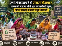प्लास्टिक कचरे से संवरा रोजगार, पन्ना की महिलाओं ने शुरू की अनोखी पहल; जंगल सफाई के साथ बढ़ी आमदनी