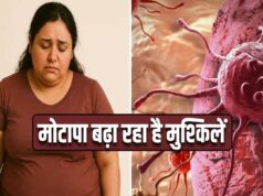 टाटा मेमोरियल की रिपोर्ट में बड़ा खुलासा, मोटापा-तनाव से बढ़ा कैंसर का खतरा; महिलाओं में ब्रेस्ट कैंसर के केस ज्यादा
