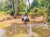 बीजापुर के दूरदराज गांवों में स्वास्थ्य शिविर, 405 मरीजों को मिला इलाज और चिकित्सा सुविधा