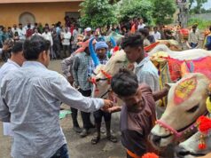छत्तीसगढ़ में धूमधाम से मनेगा पोला पर्व, CM विष्णुदेव साय की कार्यक्रमों में होगी शिरकत