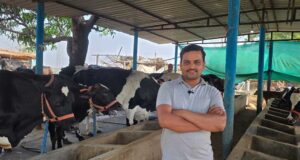 40 से 50 गायों से रोजाना 300 से 350 लीटर दूध का उत्पादन, डेयरी बनी परिवार की मजबूत आजीविका