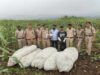 बड़वानी, खरगोन एवं खंडवा जिले के 400 से अधिक पुलिसकर्मियों की 12 टीमों ने 19 गांवों में एक साथ चलाया सघन सर्चिंग अभियान