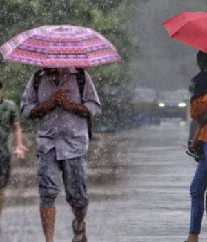 rain_81_3-3.jpg
