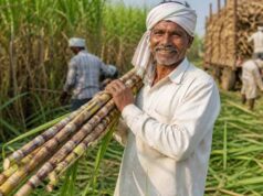 भारतीय किसान संघ के प्रतिनिधिमंडल से चर्चा के बाद मुख्यमंत्री विष्णु देव साय ने लिया महत्वपूर्ण निर्णय
