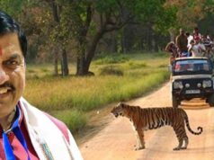 Kanha National Park: CM मोहन यादव ने की कान्हा की खूबसूरती की तारीफ, प्राकृतिक वातावरण में वन्यजीवों को देखने का दिया संदेश