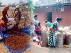 दंतेवाड़ा की महिला किसान उत्पादक कंपनी को बड़ी उपलब्धि, CGCERT प्रमाणपत्र से बस्तर के उत्पादों को मिलेगा नया बाजार