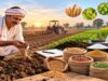 रबी की बुवाई के लिए बीज की पर्याप्त व्यवस्था, किसानों से अधिकृत केंद्रों से बीज लेने की अपील