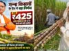 छत्तीसगढ़ में गन्ना मूल्य की नई दर लागू, किसानों को अब ₹425 प्रति क्विंटल मिलेंगे