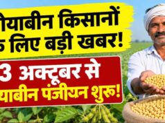 भावांतर योजना में दूसरे साल भी सोयाबीन खरीदी, 3 अक्टूबर से रजिस्ट्रेशन; ऐसे होगा सत्यापन