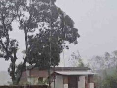 MP में बारिश से बढ़ी किसानों की चिंता, मऊगंज-सीधी-सिंगरौली में 4 इंच तक बरसात की आशंका; मंडला में अलर्ट
