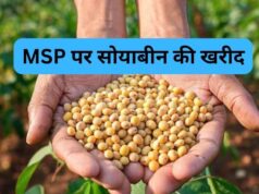 Soybean Registration: 3 अक्टूबर से शुरू होगा पंजीयन, 17 अक्टूबर है आखिरी तारीख