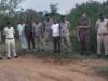 चीते के शरीर से मिले बंदूक के 5 छर्रे, कूनो में वन विभाग की बड़ी कार्रवाई; 6 कर्मचारी सस्पेंड