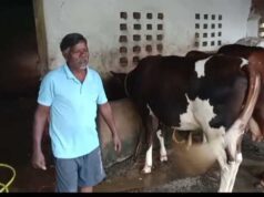 एक गाय से शुरू हुआ सफर, आज 10 पशुओं का समृद्ध पशुधन