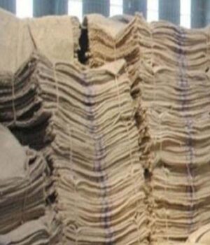 Chhattisgarh_News_07-3-13.jpg