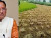 छत्तीसगढ़ में फसल नुकसान का जल्द होगा आकलन, CM साय ने अधिकारियों को दिए सर्वे के आदेश