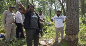 3500 पेड़ों को खत्म करने की कथित साजिश का खुलासा, छत्तीसगढ़ के उदंती में पेड़ों के इलाज के लिए पहुंचे विशेषज्ञ